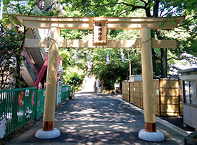 東郷神社 西参道 鳥居新築工事